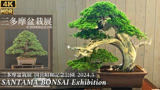 SANTAMA Bonsai Exhibition 2024 in Japan ~三多摩盆栽展/昭和記念公園~ [4K HDR]