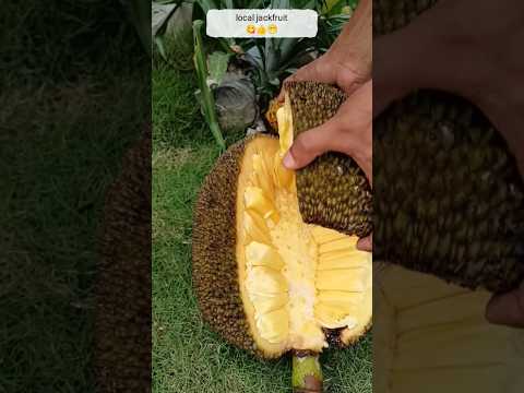 10kg jackfruit cut 🍈🍈😋#shorts #youtubeshorts #trending #jackfruit