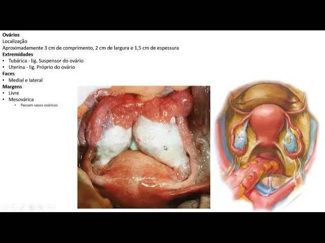 Badiiy filmlardan jinsiy aloqa sahnalari