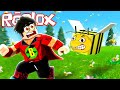 Katl ari ben kovaladi  roblox bee swarm escape obby