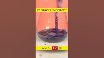 RED CABBAGE के साथ एक EXPERIMENT | @VisioNil #shorts