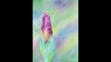 Iris flower Watercolor