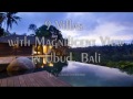 9 Luxury Villas with Magnificent View in Ubud Bali - River Valley Jungle and Rice fields Views