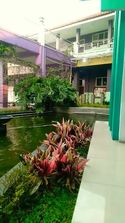 story wa 25 -8-2023#short#benalu cinta-mansyur s #viral
