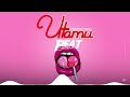 Utamu -  Beat Singeli Amapiano _Produced by Msaga _ Instrumental (Official Music Audio)