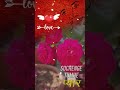 #lovequotes #shortvideo #offical prachivlogs