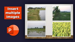 How to Insert Batch or multiple images in PowerPoint Slide