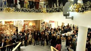 Weihnachtsevent - Halleluja Flash Mob - Weinheim Galerie, Must See! chords