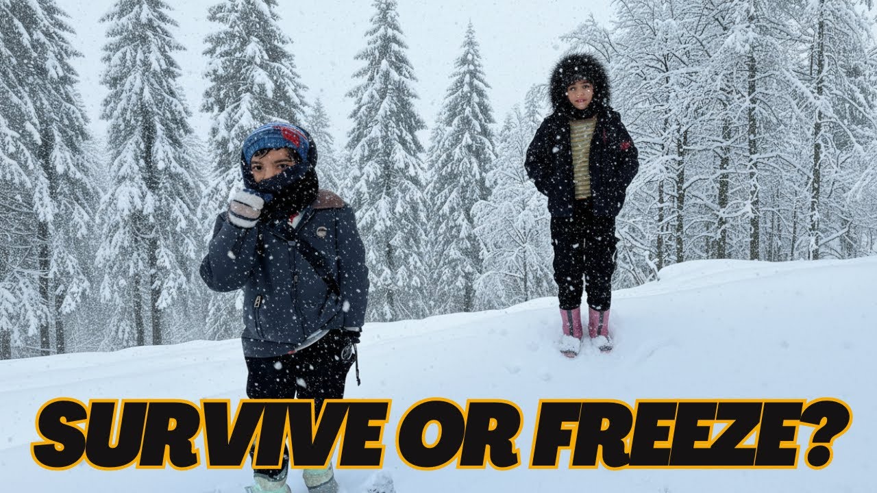 Can You Survive a 24 Hour Forest Challenge with No Equipment