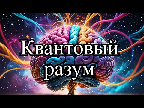 Наши разумы квантово