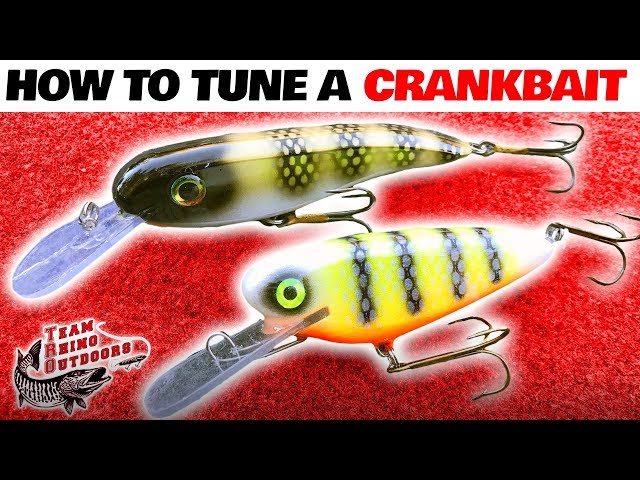 Musky Lures 101: Lake X Lures Toad ( how to tune and fish it ) 