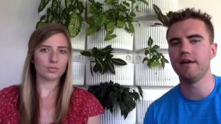 Mint Conversations How We Work With Content Writing Clients