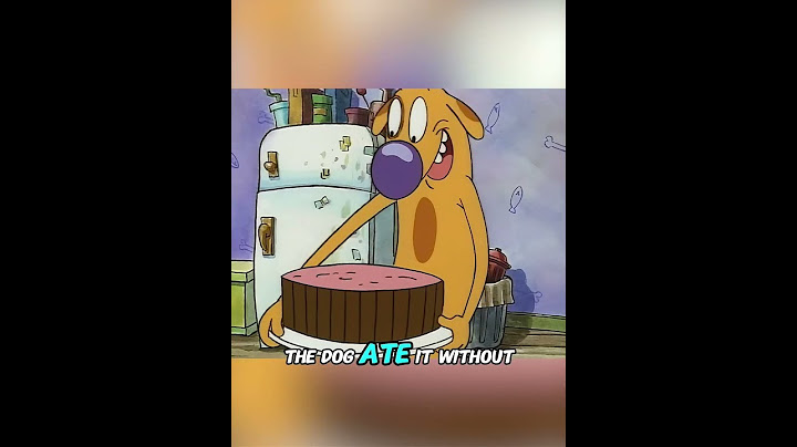 Cat think the way dog eat is very inelegant #anime #animerecap #CatDog