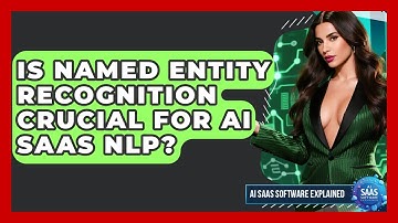 Is Named Entity Recognition Crucial For AI SaaS NLP? - AI SaaS Software Explained
