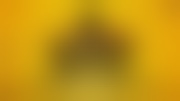 How to Survive "Kovac