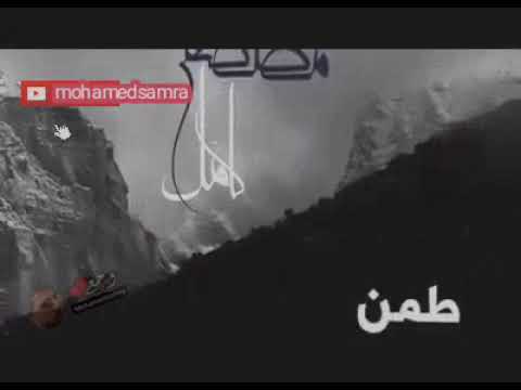 طمن قلبك لسه بحبك