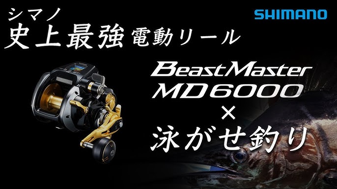 Shimano Beastmaster MD 6000 