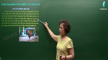 Cấu tạo bài văn miêu tả con vật - Tập làm văn - Tiếng Việt 4