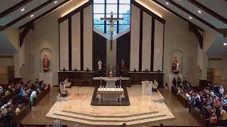 11th Sunday in Ordinary Time - June 14, 2026, 9:30 a.m. Mass