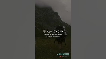 فاصبر صبرا جميلا انهم يرونه بعيدا ونراه قريبا💚 #تلاوه_تريح_الاعصاب_وتهدئ_النفوس #قران_كريم_بصوت_جميل