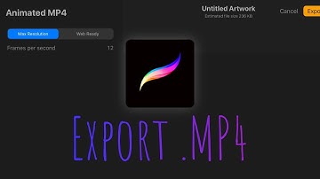 Export your Procreate animation to MP4