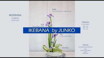 Ikebana Lessons: Episode 1 - Moribana Chokutai