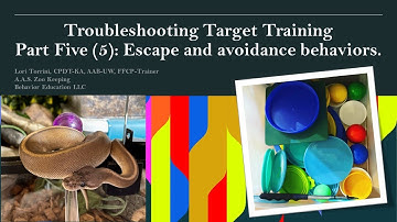 Escape and Avoidance Behavior: Troubleshooting Target Training Lesson Five (5)