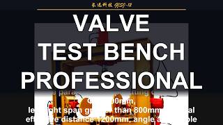 GJSJ 12 Valve Test Special Notes