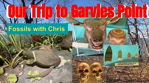Fossils, Arrowheads, Gems and Glacial Geology;  Our Visit to the Garvies Point Preserve.  FH&FCw/C