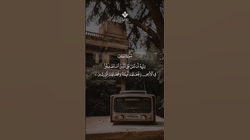 الشيخ محمد صديق المنشاوي | ماتيسر من سورة القصص #quran #تلاوات #قرآن