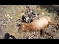 2009 Idaho Archery Elk Hunt