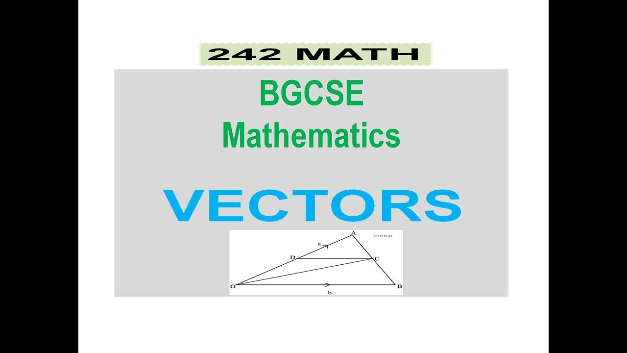 Learn Vectors - YouTube