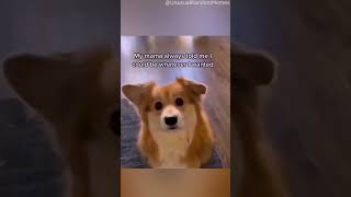 Unusual Memes Complition Pt 61 #Shorts #Memes #Compilation #Funnyvideo #Funnymemes #Trending #Meme