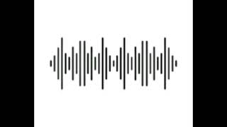 Parrot Sound Effects [Free Audio]