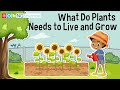 Plant Growth and Photosynthesis Concepts