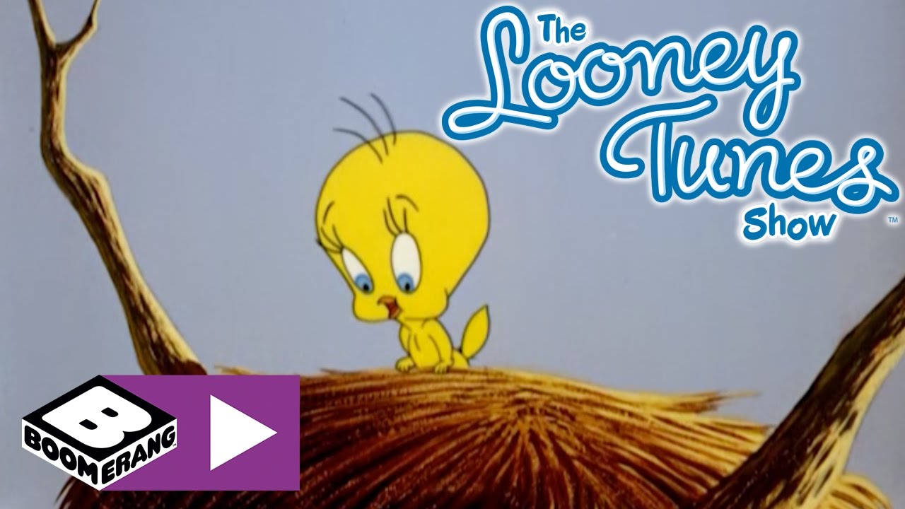 Sevimli Kahramanlar Galiba Bir Kedi Gordum Boomerang Youtube Romanlar Kedi Looney Tunes