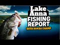 Lake Anna, Virginia Spring Bass Fishing Report | Don’t make this MISTAKES!!