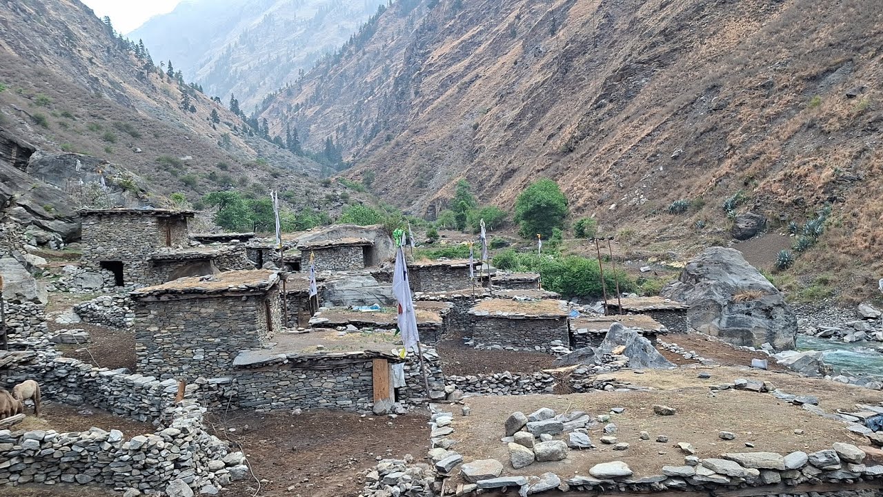 Organic hardworking  real nepali life style real to real work 