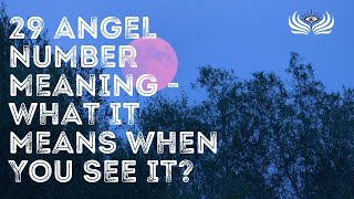 29 Angel Number Meaning 🌠 What It Means When You See It?