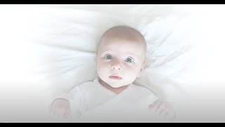 ALAN WATTS | ECHO | Music by Mark Wagner (dedicated to Eko)