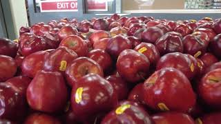 Copyright-Free Fruits: Apple -  Stock Footage - Royalty-Free Footage for Your Projects