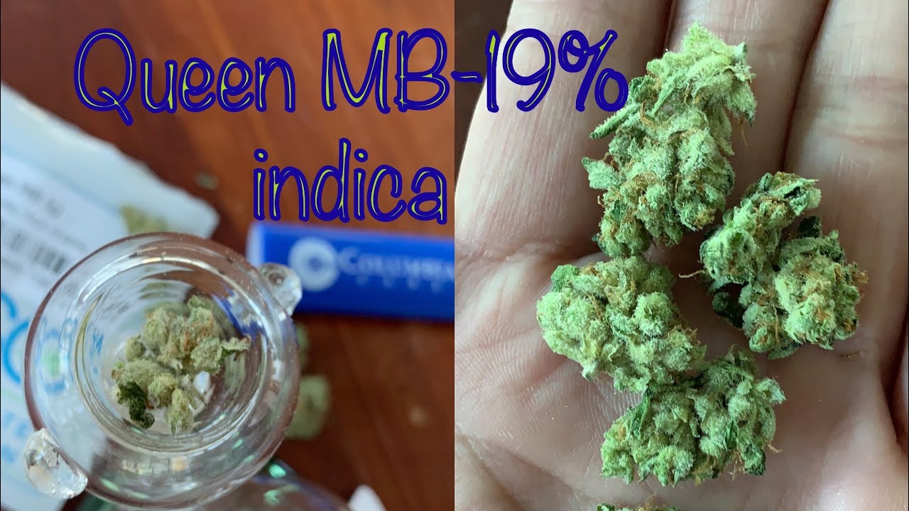 👑 QUEEN MB-19% INDICA