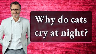 Why do cats cry at night?