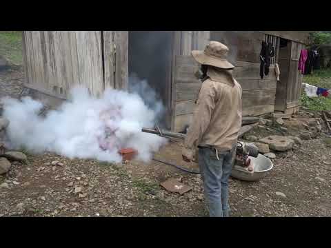 SPOT DENGUE EN
