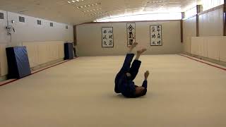 Ukemi - How to Fall Down Safely: Barrel Roll