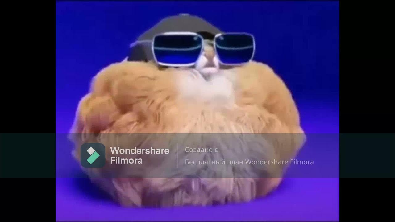 Мем с мохнатой собакой