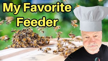 Beekeeping | Which Feeders Work Best?