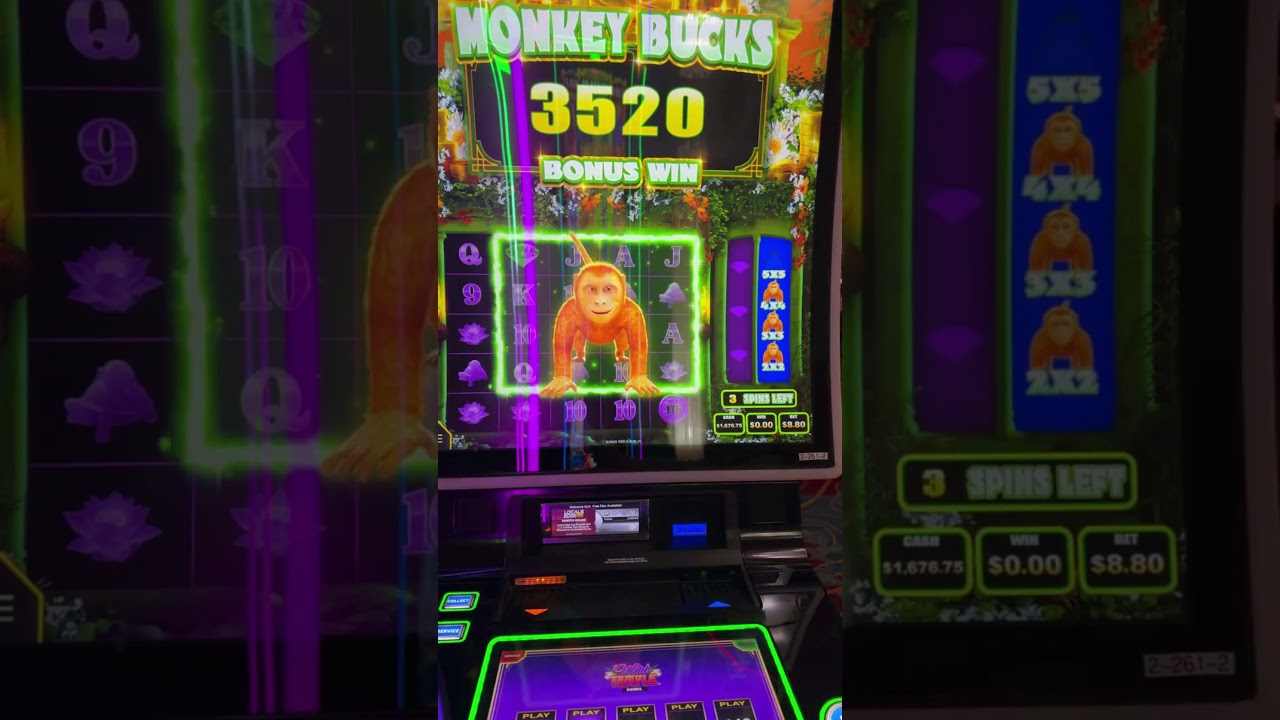 Бонус Monkey Bucks - игровой автомат Wild Temple 
