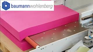 BaumannWohlenberg Schneidesystem mit Be- und Ablader