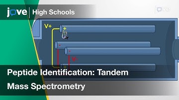 Peptide Identification Using Tandem Mass Spectrometry | Cell Bio | Video Textbooks - Preview